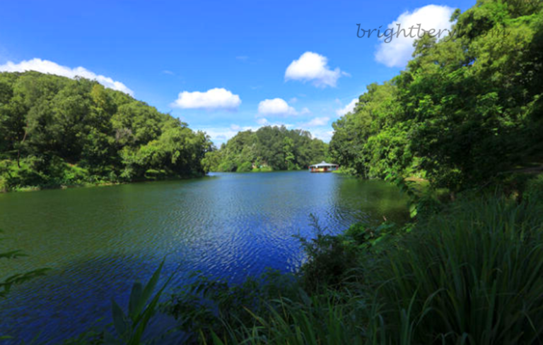 Foy’s Lake Chattogram Man-Made – Natural Beauty of Foy’s Lake