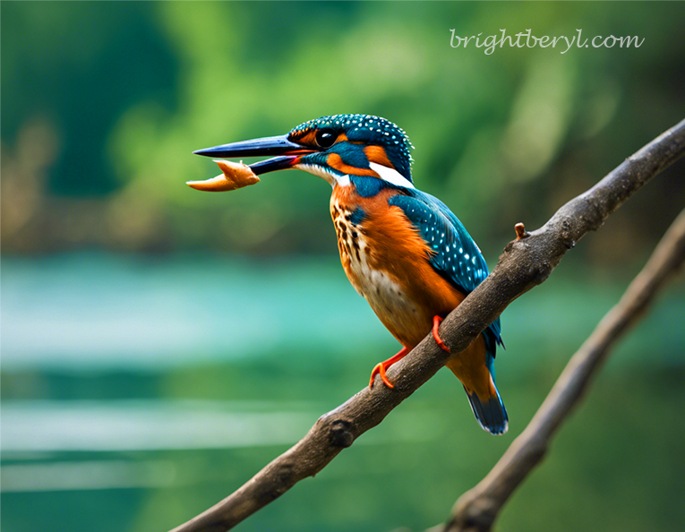 Kaptai Lake Largest Man-Made in Bangladesh – Rich Flora and Fauna