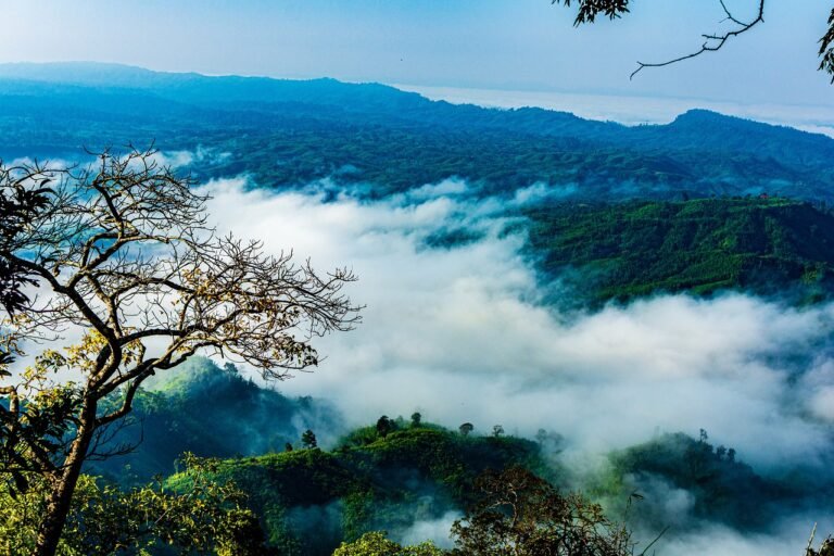 Sajek Valley Queen Hills Rangamati Bangladesh – Sajek Valley, affectionately known as the “Queen of Hills