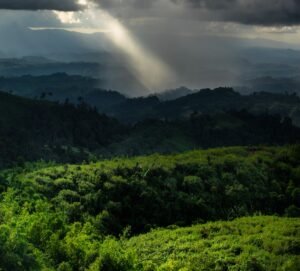 Chattogram: Gateway to the Bay, Nature, Trade and Resilience